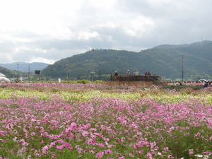 CIMG1718.JPG