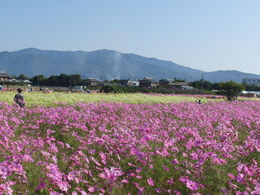 CIMG5029.JPG