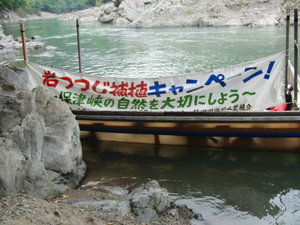 CIMG6554.JPG
