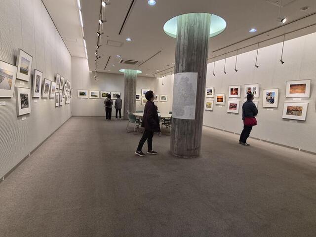 20260213_114023.jpgのサムネイル画像