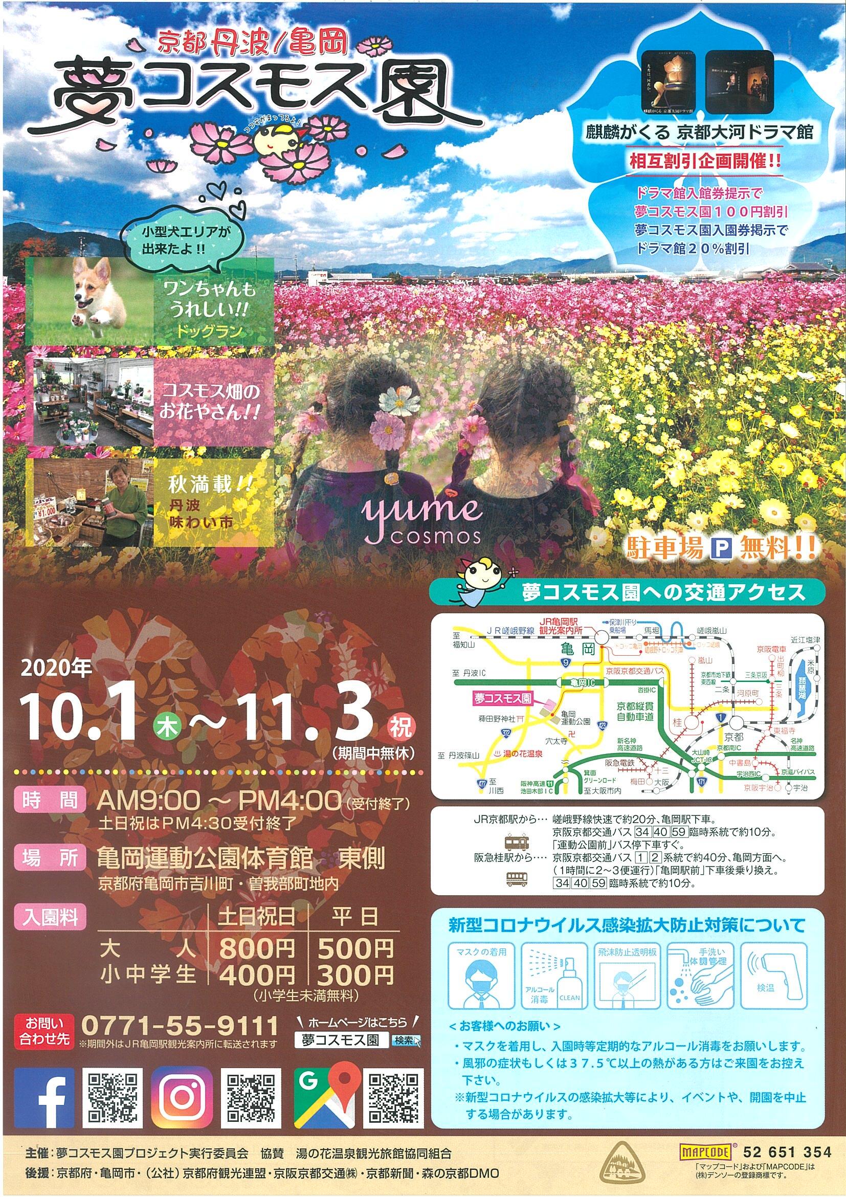 10月1日から開催 京都丹波 亀岡 夢コスモス園 亀岡だより ぶらり亀岡 亀岡市観光協会 10月1日から開催 京都丹波 亀岡 夢コスモス園 亀岡だより ぶらり亀岡 亀岡市観光協会