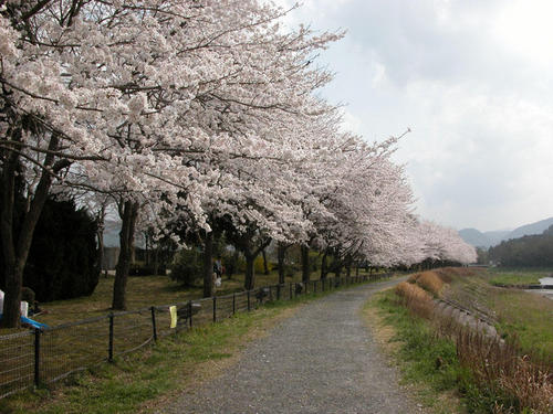 cherykameokaundoupark.JPG