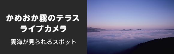 かめおか霧のテラス　ライブカメラ