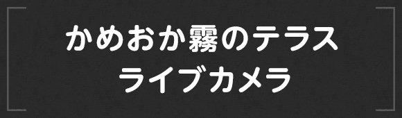 かめおか霧のテラス ライブカメラ