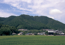 八木城跡（神前北山城）