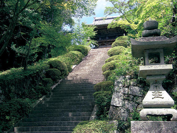 田野 神社 ひえ